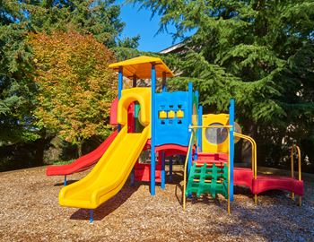 a colorful playground in a park with trees in the background  at Bella Vista, Washington, 98409