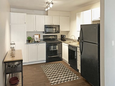 2415 11Th St 1-2 Beds Apartment for Rent - Photo Gallery 1