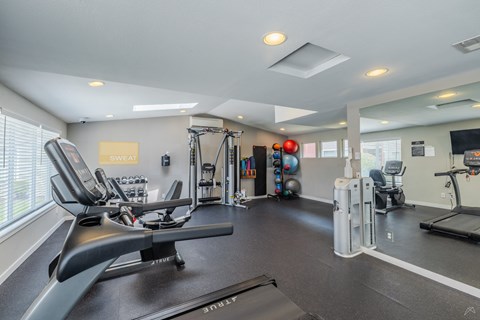 A gym with treadmills, exercise bikes, and other equipment.