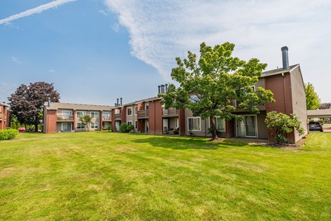 A large grassy area in front of a building with a tree in the foreground.