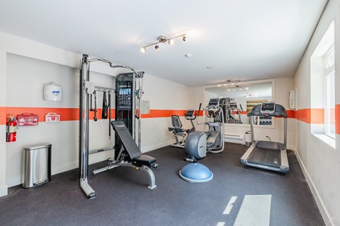 A gym with a variety of equipment including a treadmill, weights, and a bench press.