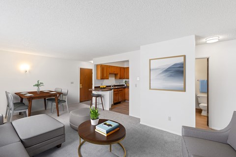 A living room with a grey sofa, a coffee table, a dining table with chairs, a kitchen area with a sink and a fridge, and a painting on the wall.