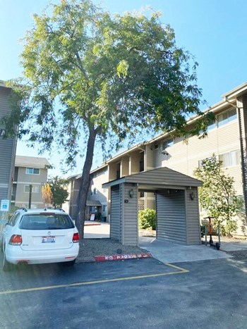 Covered entry with a large green tree opens to the community courtyard surrounded by apartments and landscaping. - Photo Gallery 8