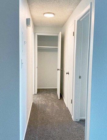 Carpeted hallway with door to a closet and bedroom on right, a large closet end of hallway, and entry to bedroom on the left. - Photo Gallery 19