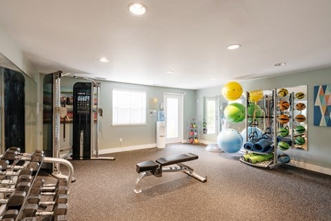 a home gym with a lot of weights and cardio equipment