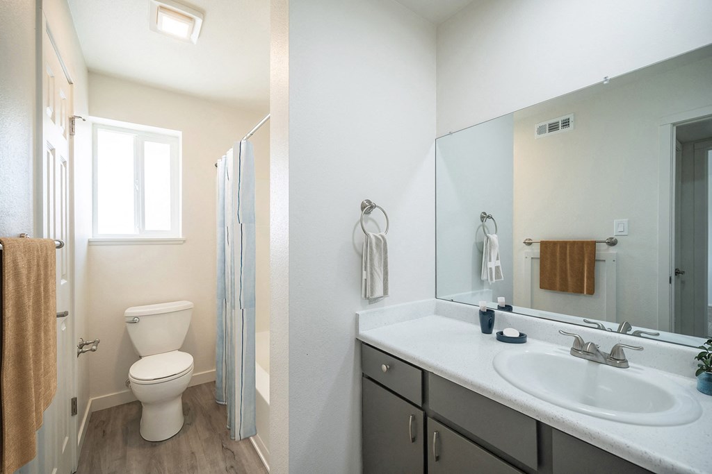 a bathroom with a toilet sink and shower at Summit, Idaho, 83201