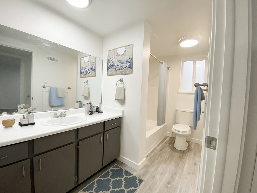 Full bathroom with extended countertop, large mirror, under-sink storage, and privacy wall leading to shower and toilet.at Summit, Pocatello Idaho