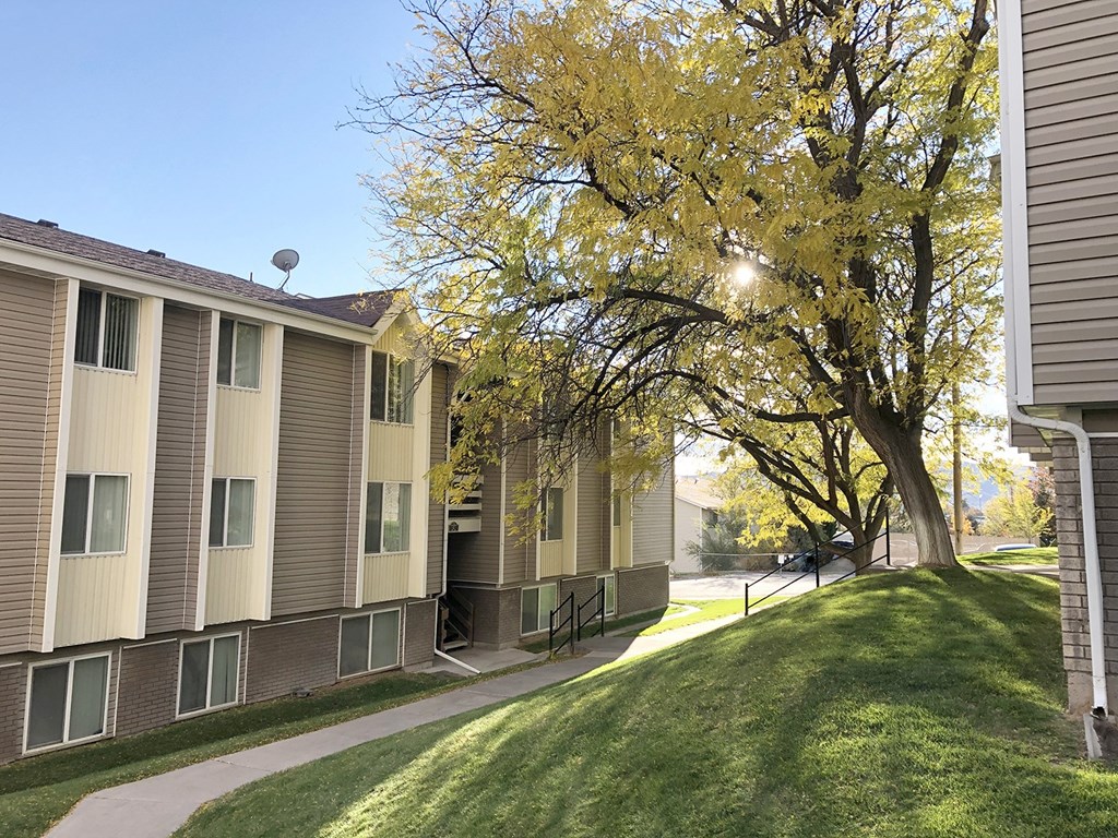 Summit Apartments exterior, paved walkway with grass hill, large tree on the right, and apartments on the left.at Summit, Pocatello, 83201