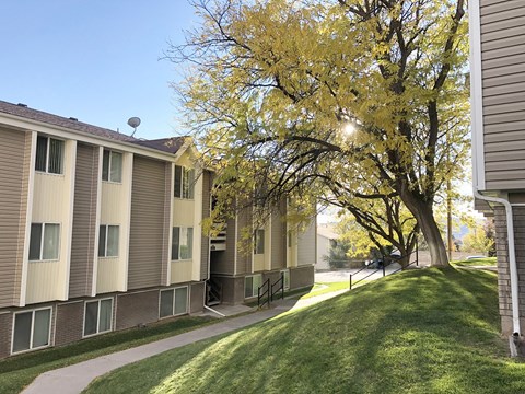 Summit Apartments exterior, paved walkway with grass hill, large tree on the right, and apartments on the left.at Summit, Pocatello, 83201
