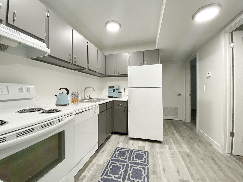 L-shaped kitchen with oven, stove top, range hood, dishwasher, sink, and full-size fridge from left to right.at Summit, Pocatello