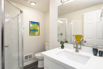 Bathroom with vanity sink, white counters, large mirror, toilet, shower with glass doors, and towel rack. - Photo Gallery 13