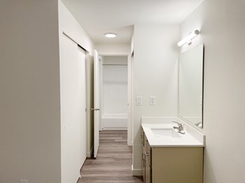 Full bathroom with a closet, a vanity sink, under sink cabinets, large mirror, and door to shower and toilet. - Photo Gallery 6
