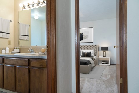 Ensuite room with large bathroom counter, sink, wood under sink cabinets, hand towel rack, and good lighting at Hawks Prairie, Olympia, WA.