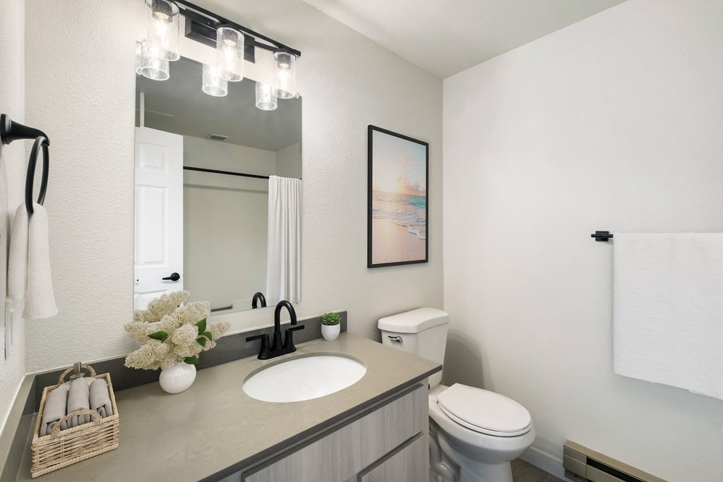 a bathroom with a sink and a toilet  at Brix, Washington, 99362