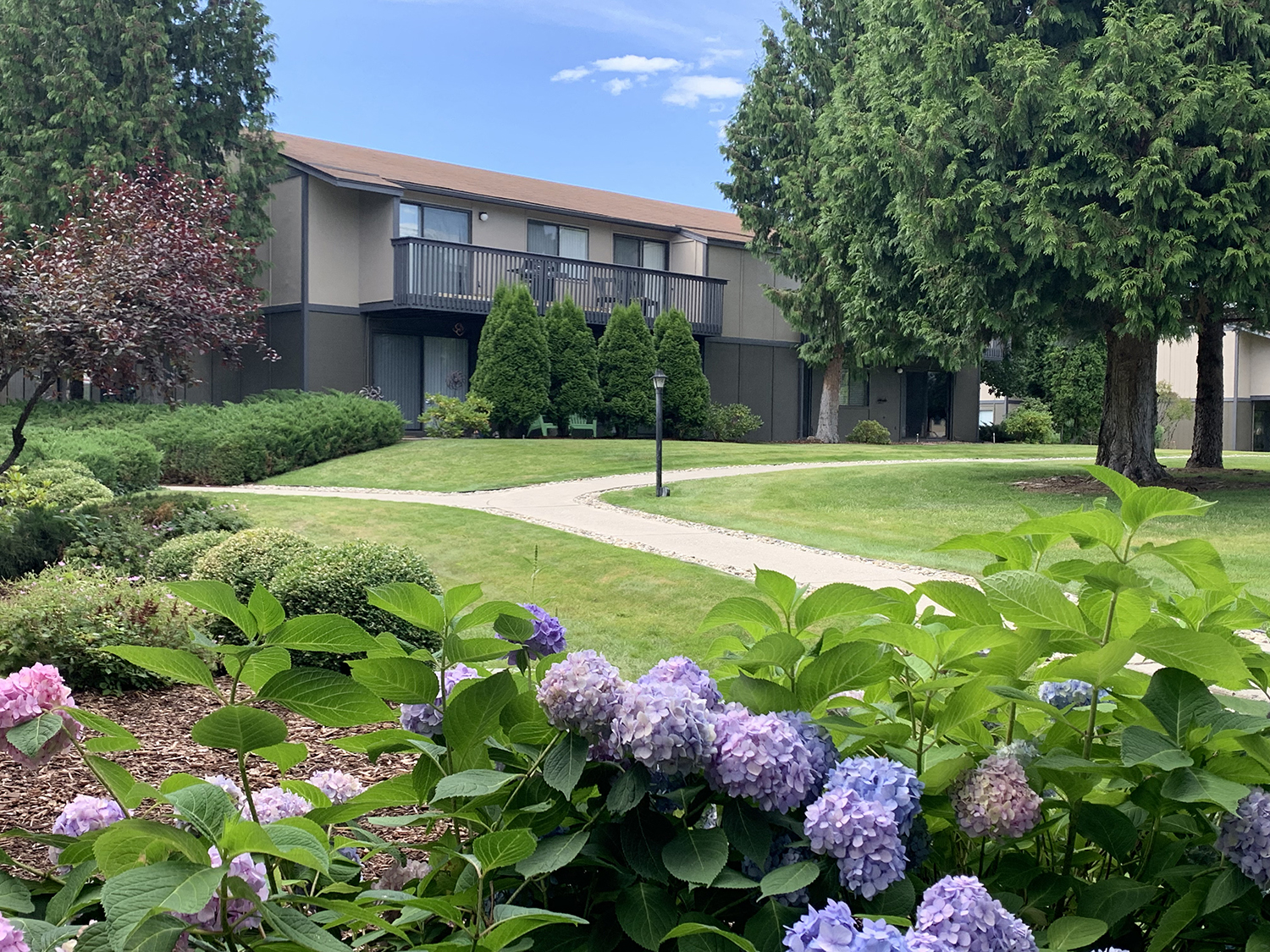Outside paved path to buildings through well landscaped, grassy area.at Cedarwood, Wenatchee, WA