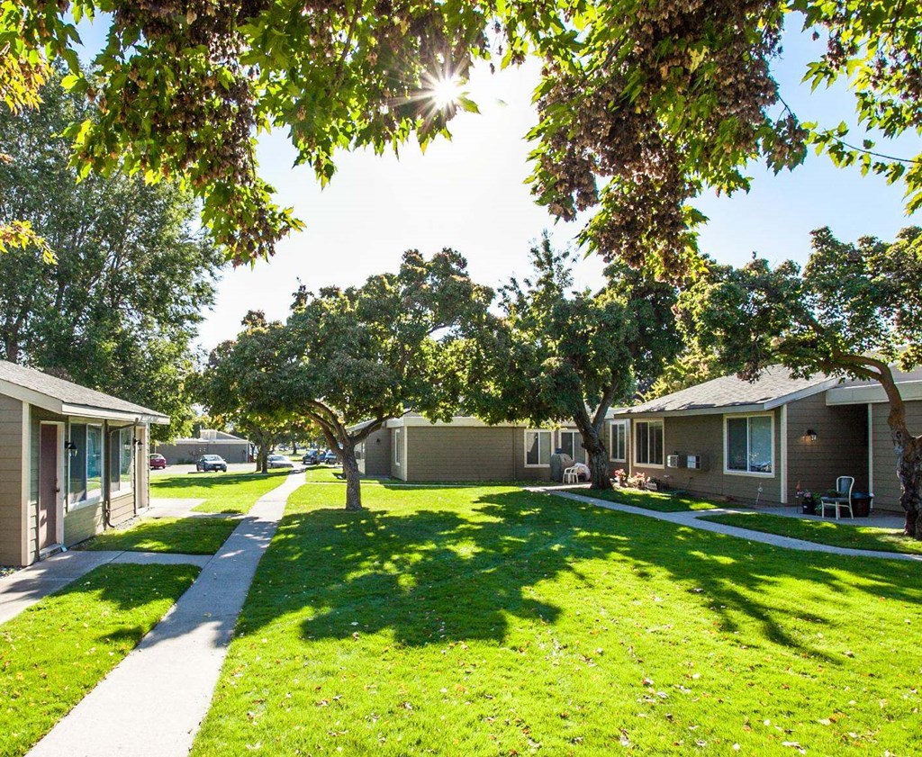 Sunny grass courtyard and pathway lined with trees outside units of building.at Park View Apartments, Wenatchee, WA