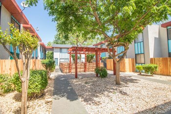 Woodland Village Outdoor Landscape Outdoor courtyard with paved path and landscaping leading to pavilion and dog park. - Photo Gallery 5