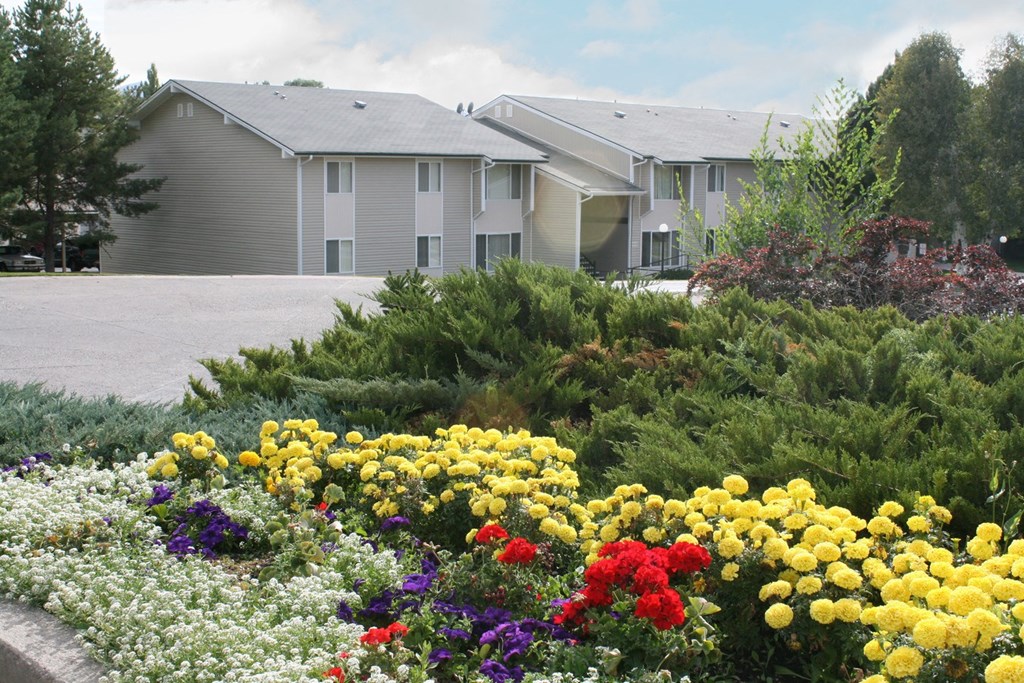 Community landscape with bright yellow, purple, and red flowers, bushes, and apartments behind.at Kirkwood Meadows, Pocatello, 83201