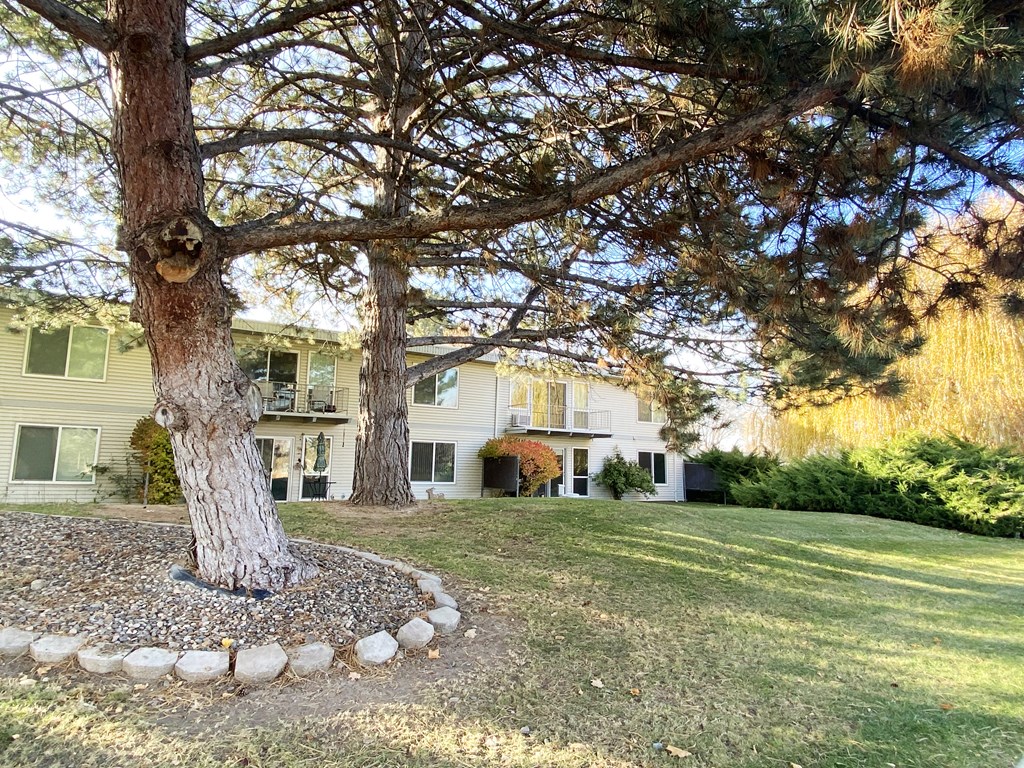 Community landscape with two large trees on the left, green grass, bushes, and apartments in the background.at Laurel Park, Idaho, 83301