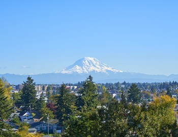 Mt. Rainier on a blue sky day with green trees in the foreground and far away buildings. - Photo Gallery 11