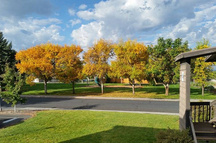 View of park across a paved street lined with trees with a playground surrounded by grass in the background.at The Lakes Apartments, Moses Lake, 98837