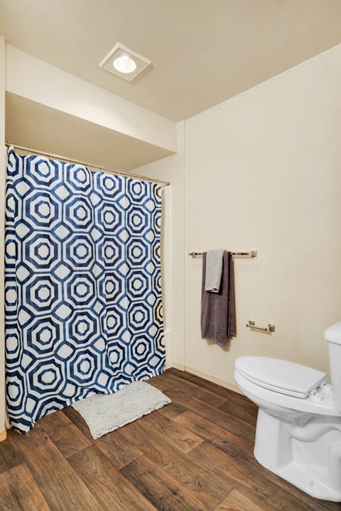 a bathroom with a white toilet and a blue and white shower curtain at Sky Vue, Bellingham