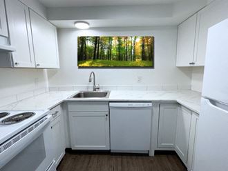 a kitchen with white cabinets and a picture of trees