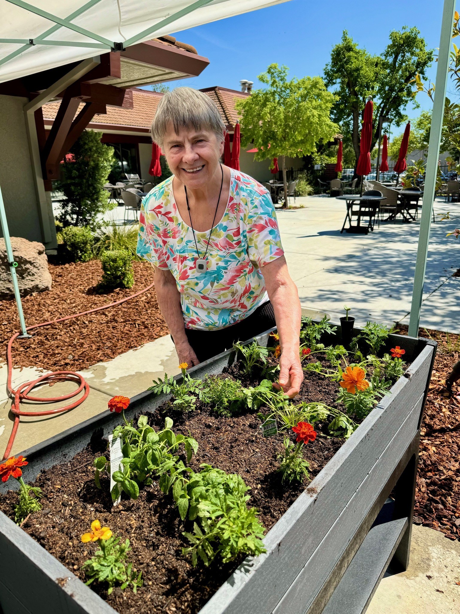 Roseville Commons Senior Living