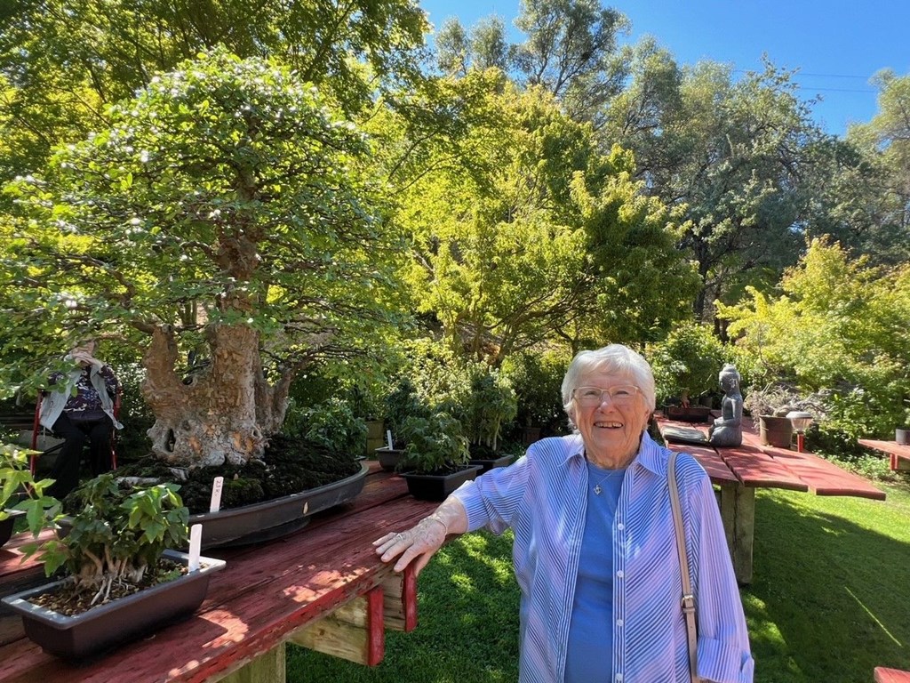 Winding Commons Senior Living