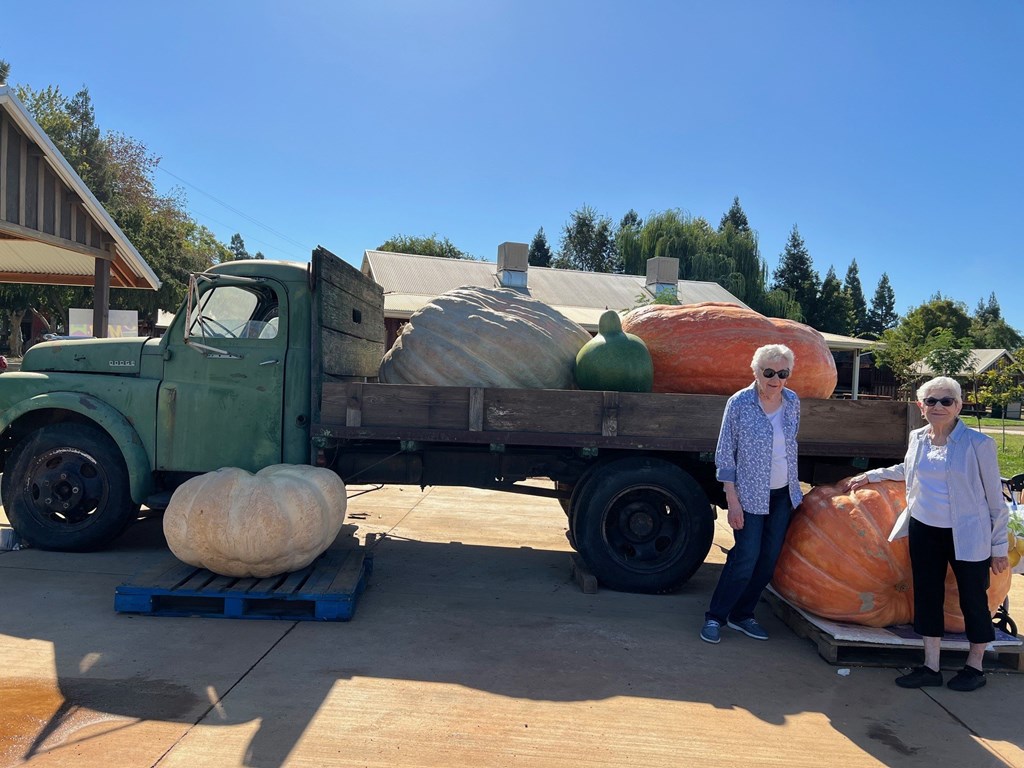 Winding Commons Senior Living