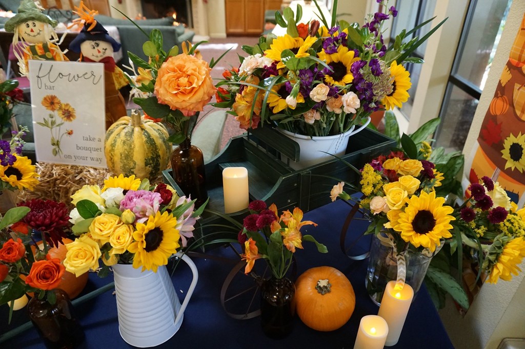 Winding Commons Senior Living