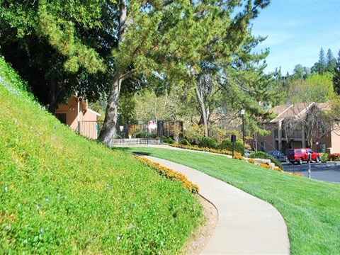 Community pathway with flowers and landscaping