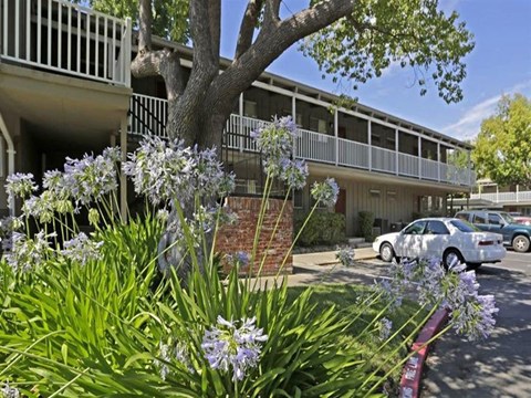 Castle Hill Apartments building