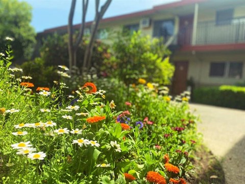 Flowers and landscaping