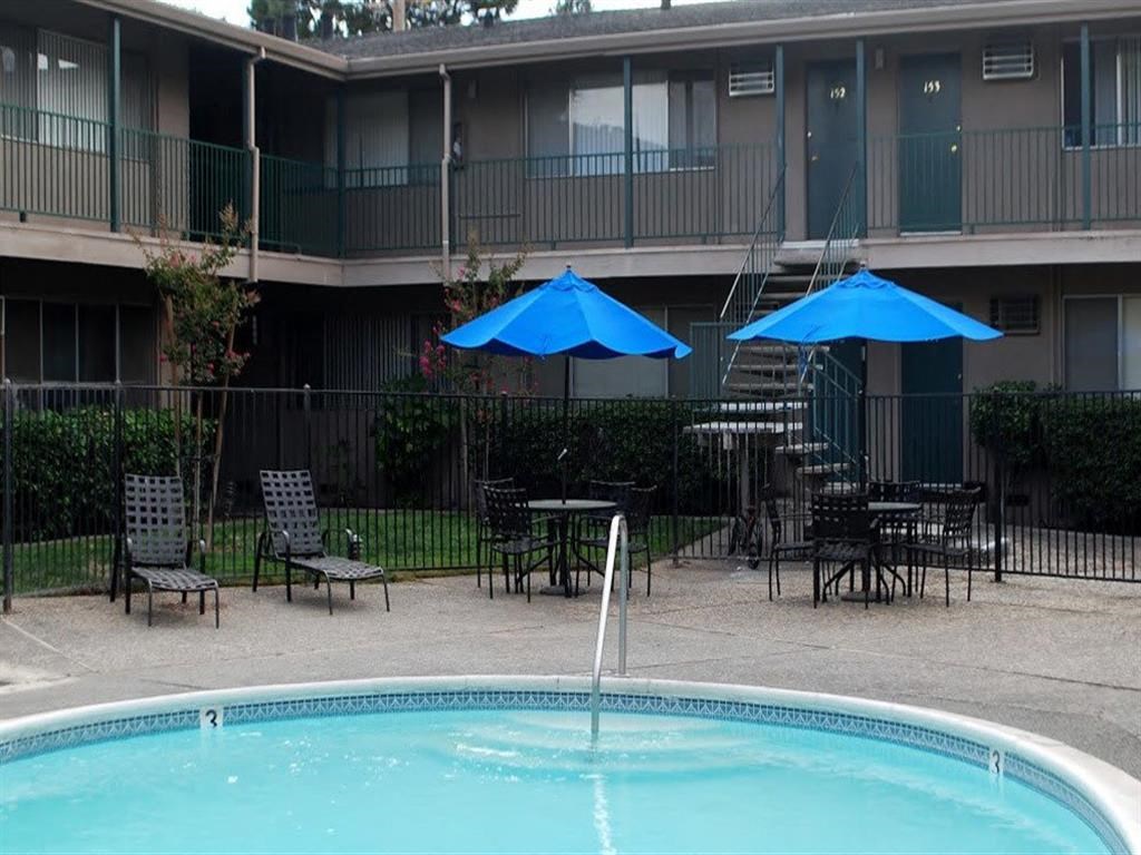 Outdoor swimming pool area