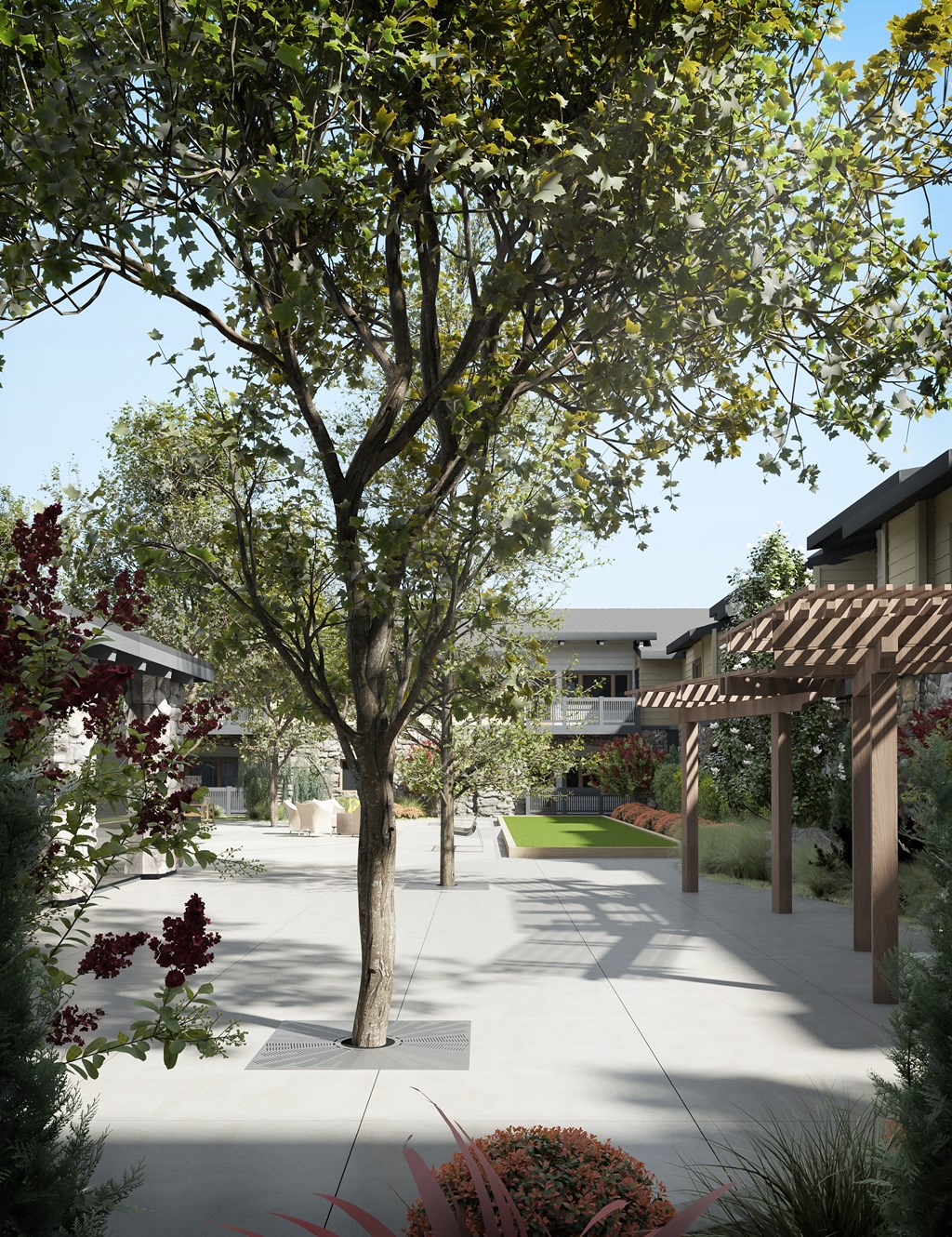 a tree in the middle of a sidewalk in a courtyard