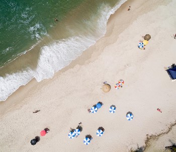 4 Miles from the Beach - Photo Gallery 4