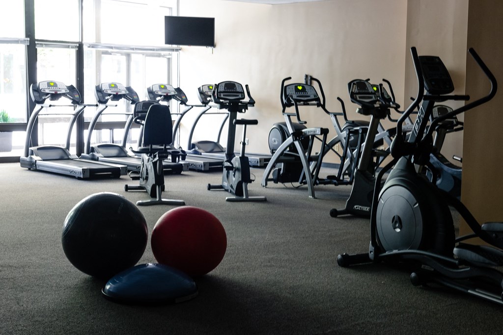 gym gym at Hampton Plaza Apartments, Towson, 21286