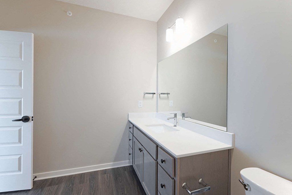 a bathroom with a sink and mirror and a toilet