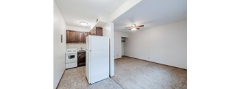 One Bed Renovated Kitchen & Living Room