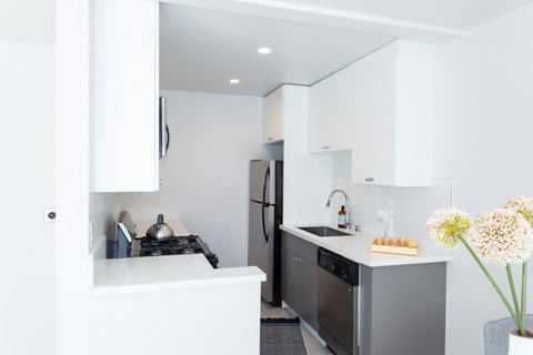 Bright kitchen fully equipped with stainless steel appliances