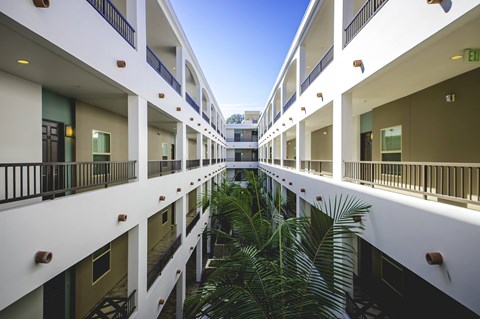Courtyard with view of outdoor hallways between units