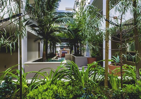 Courtyard with lush landscaping