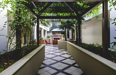 Courtyard with tree canopy