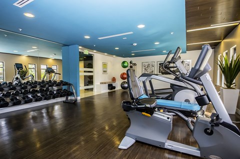 Fitness center with cardio and weightlifting equipment