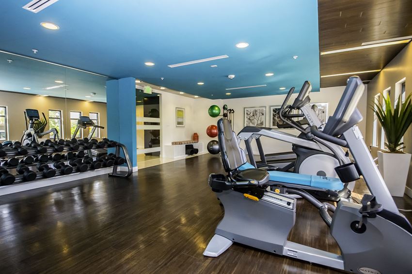 Fitness Center Fitness center with cardio and weightlifting equipment