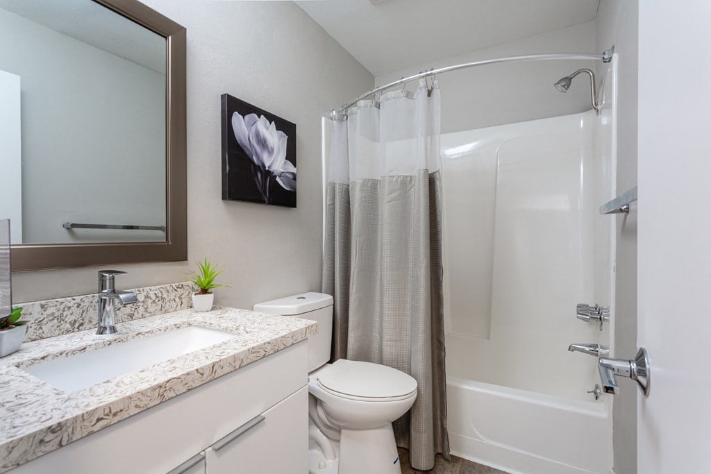 a bathroom with a shower toilet and sink and a mirror