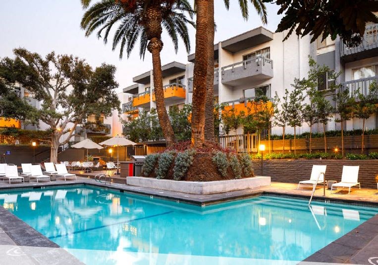Beautiful Outdoor Pool with Palm Trees and Lounge Chairs