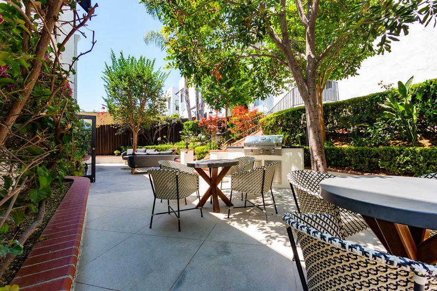 BBQ Area Outdoor Lounge and BBQ Area With Patio Chairs, Tables, and Lush Landscaping - Photo Gallery