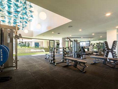 Fitness center with cardio and weight equipment